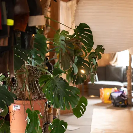 Barnloft Mit Whirlpool & Kamin וילה